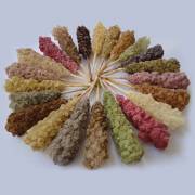 خواص انواع نبات گیاهی